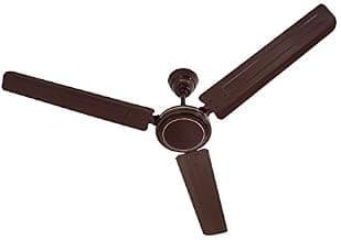 USHA Diplomat 1200mm 50 Watt|BEE Star Rated | 2 Year Warranty | (Brown) Pack of 1