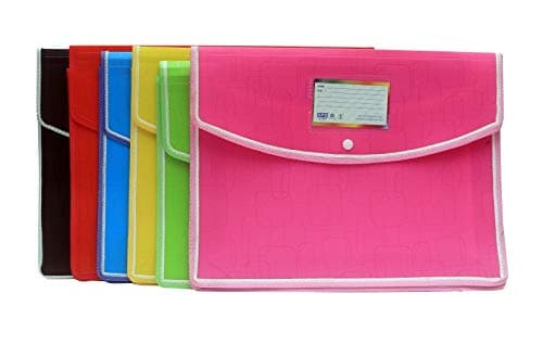 True-Ally 4 Pack A4/Legal Heavy Duty Document File Bag, Neon Fluorescent Envelope Holder Storage Case, Snap Button Organizer, My Clear Plastic Container (Random Color, Pack of 4)