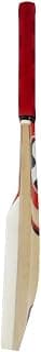 SG Catch Cricket Bat (Color May Vary) - Material: Wood