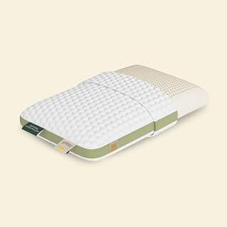 SleepyCat Natural Latex Pillow | Medium Firm Support for Neck & Shoulder Pain Relief | GOLS-Certified Organic Latex | Hypoallergenic & Breathable | 24 x 16 inches, White