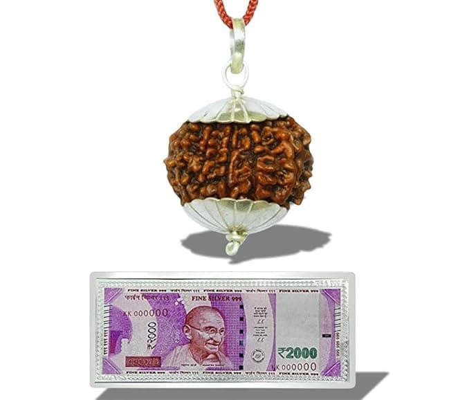 14 Mukhi Original and Natural Java Oriented Nepali Unisex Rudraksha of Chanting Mantras by Sadhus for The Solutions of Life Problems Wood Pendant
