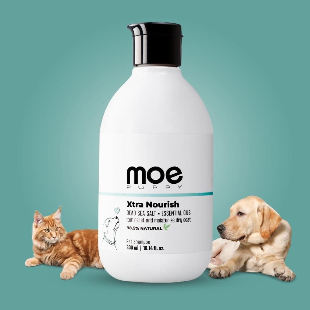 Moe Puppy Xtra Nourish Medicated Dog & Cat | Anti-Itch Skin Relief | Herbal Dog Shampoo | Antifungal & Antibacterial | Gentle Formula of Dead Sea Salt & 3 Essential Oil & Nourishing Formula (300ml)