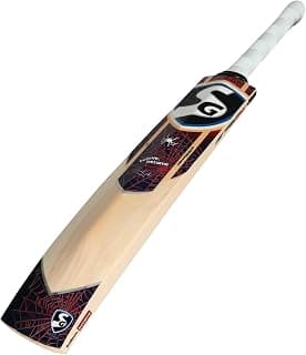 SG English Willow Cricket Bat RP Ravage (Leather Ball) (Size 6)