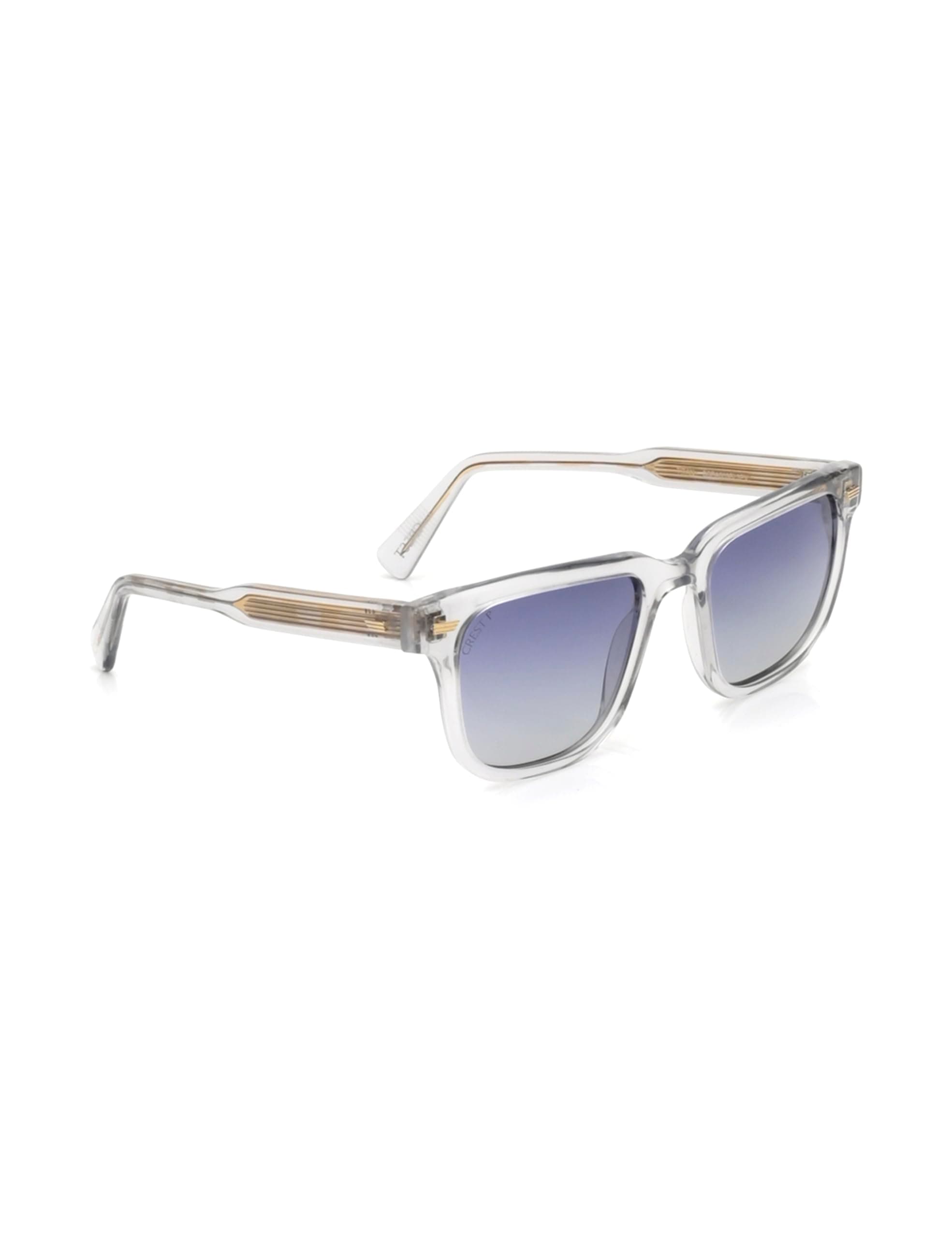 Titan Wayfarer Polarized Sunglasses for Men