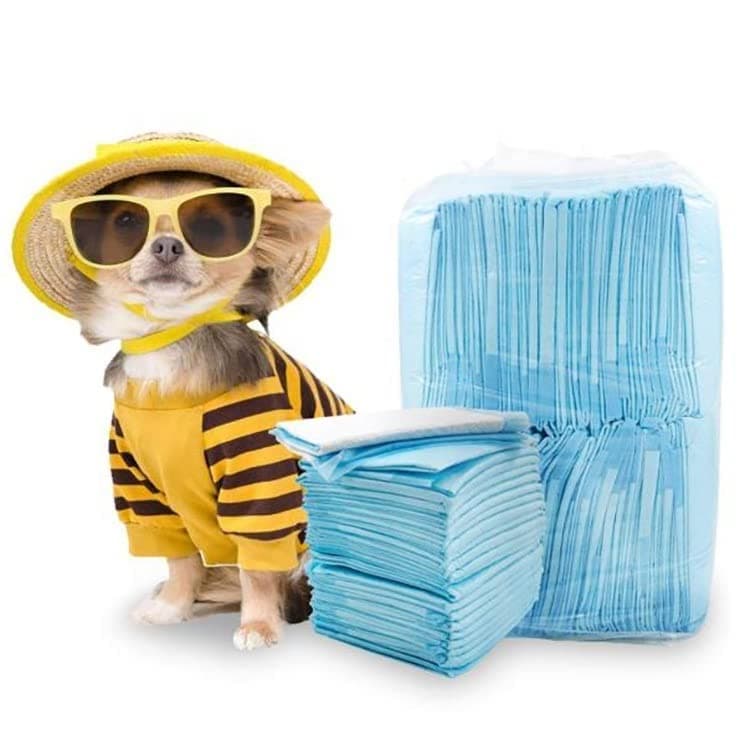 THE DDS STORE Dog Training Pads/Training Pee and Potty Pads with Quick Drying Surface and Absorbent Core/Suitable for Small/Large Breed Puppies/Size: XL/L-60 cm X H- 45 cm (5.Pcs Pack)