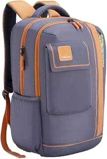 American Tourister Sest 3.0 Style 02 | 30L Backpack | School Bag | 3 Compartments | School & College Backpack for Girls and Boys | Spacious Interiors | Grey | 1 Yr Global Warranty