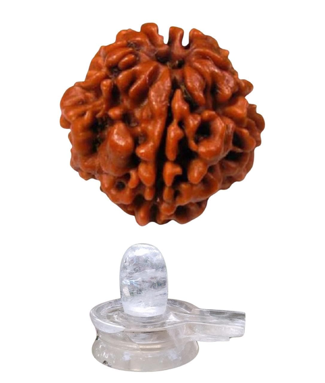 Ek Mukhi One Face GOL Rudraksh Nepali 1 Faced Rudraksha with Sphatik Shivling Combo Set || SQ Lab Certification || Precious 1 Face Rudraksh Original with Free Silver Pendent..