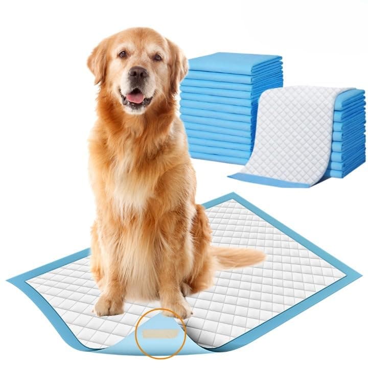ZOIVANE Pee Pads for Dogs (Pack of 60) | 60x90 cm Heavy-Duty Pet Training Pads with Adhesive Floor Tape | Quick-Dry, Leak-Proof & Super Absorbent | Ideal for Puppies, Small, Medium & Large Dog