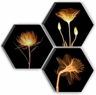SAF Set of 3 Hexagon Preety Brown Floral UV Textured MDF Home Decorative Gift Item Painting 17 Inch X 17 Inch SANFHX15SMALL