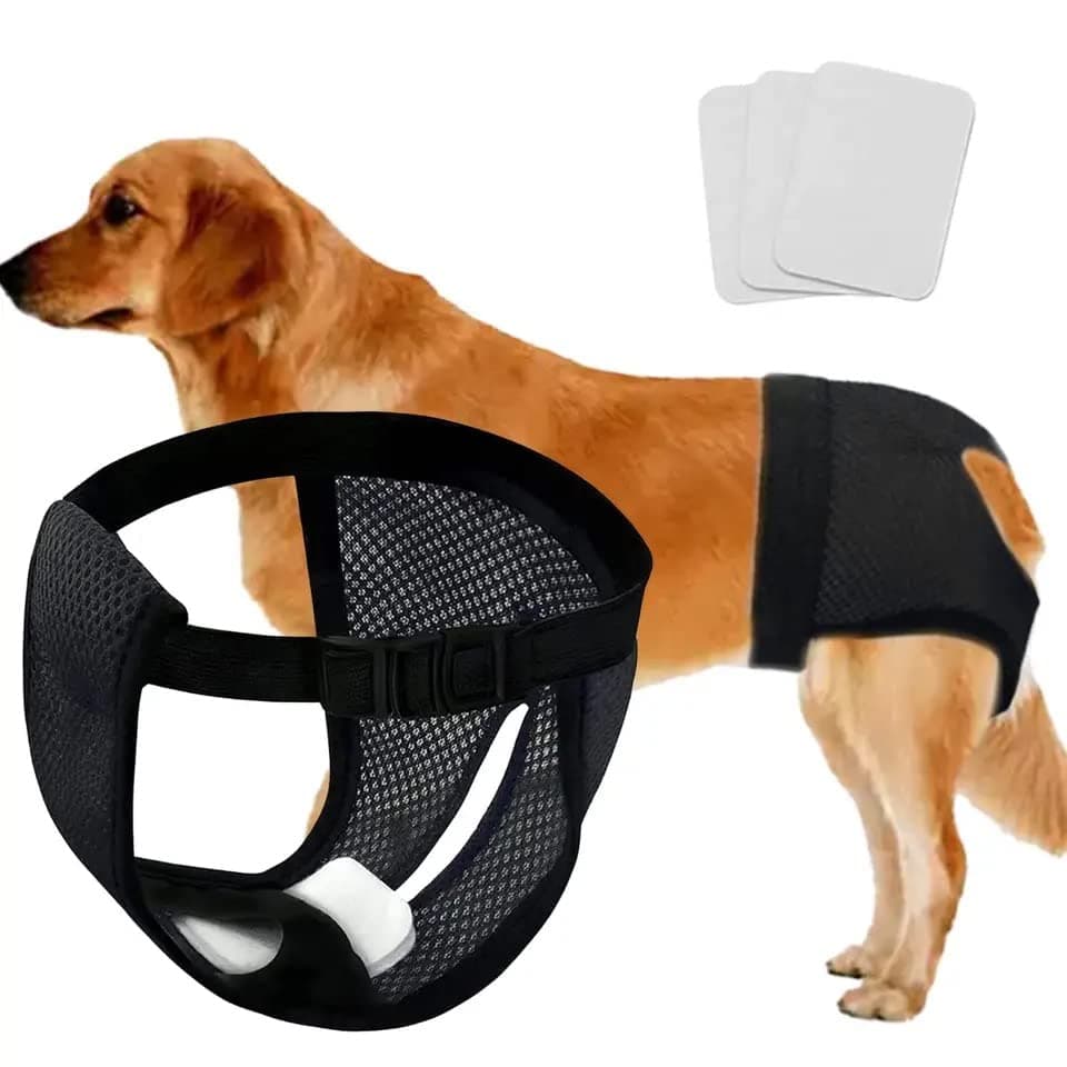 24x7 eMall Female Dog Diapers Diaper Comfortable Reusable Female Dog, Puppy, and Female Dogs Diapers with 3 Absorption Cotton Pads (L, Recommended Waist.15.2''-20'')