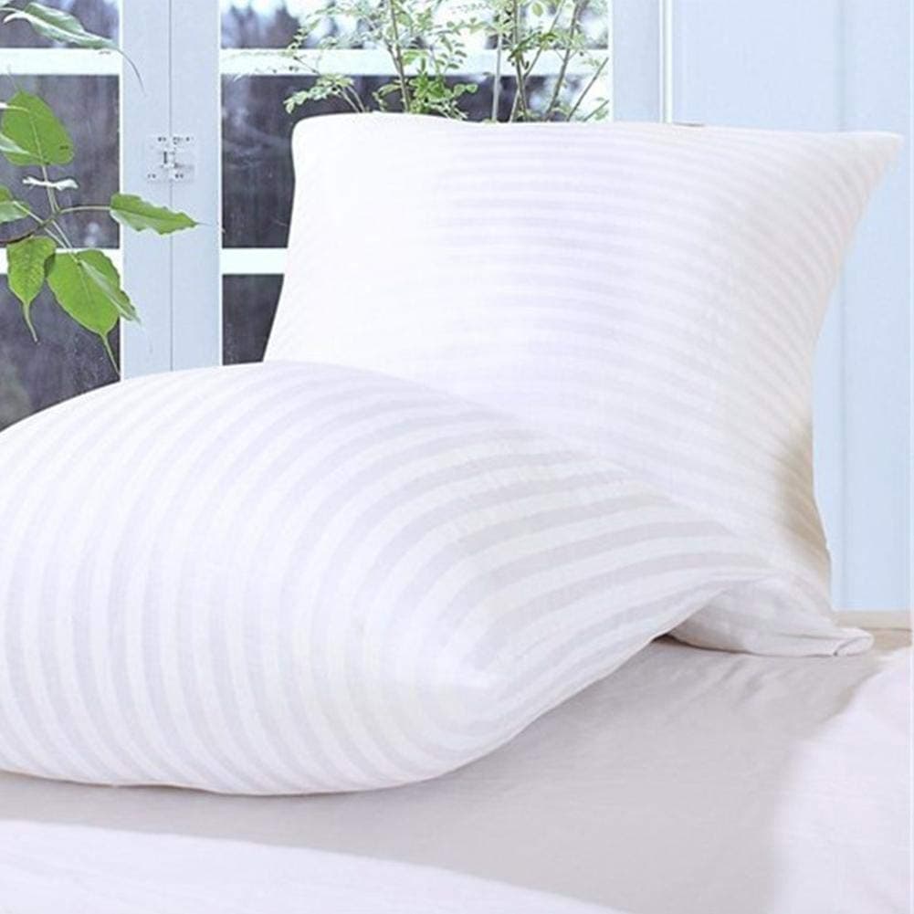 JDX Hotel Quality Filler/Fiber Cushion 20X20-Inches Set of 2, B07XNDB62F