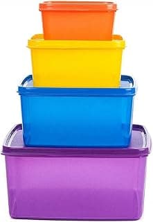 Signoraware Family Fresh Tab BPA Free Plastic Containers Set | Microwave & Freezer safe | Airtight & Leakproof | Best for Kitchen & Outdoor Use (MultiColour | Setof4 | 2.5Ltr +1.2Ltr +500ml +160ml)
