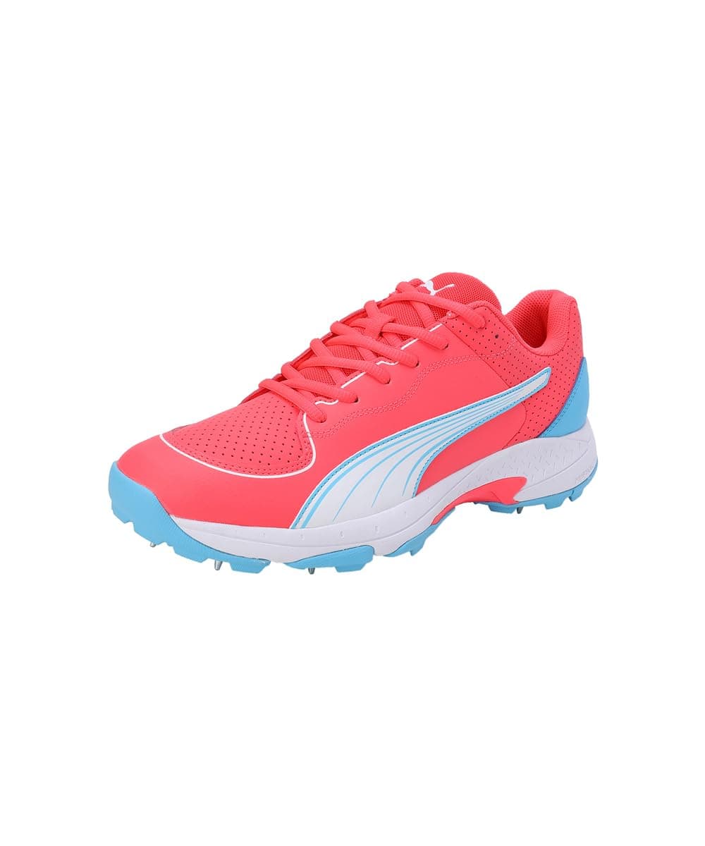 Puma Mens Spike 24.2 Cricket Shoe