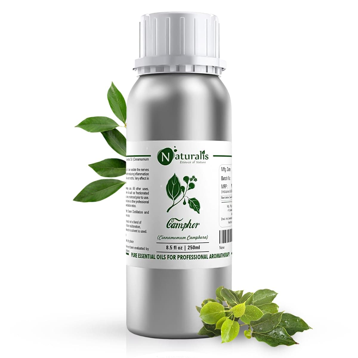 Naturalis Camphor Oil - Pure and Natural Steam Distilled Camphor Essential Oil for Skin, Hair and Aromatherapy - Camphor Mosquito Repellent - 250ml
