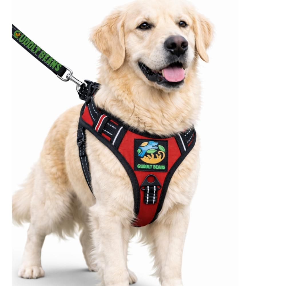 Cuddly Beans Adjustable Padded Dog Harness with Leash, Red, M (16–24 kg) | Adjustable & Durable Pet Harness for Dogs, Comfortable, Breathable, Suitable for All Breeds & Sizes
