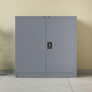 Interio by Godrej Storofix 2-Door Minor Metal Storage Almirah (Telegrey-2)
