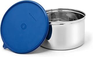 Signoraware Storewell Stainless Steel Container | Airtight & Leakproof | Maintain the Freshness & Crispness for Hours | Ideal For keeping Grains, Flour & Sugar | Leftover Container (3 Ltr | ModBlue)