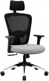 Green Soul Jupiter Pro | Ergonomic Mesh Office Chair for Work | 3 Year Warranty|Seat Slider | Multi-Lock Synchro Tilt Recline Mechanism|4D Armrest|Adjustable Lumbar|High Back|Grey