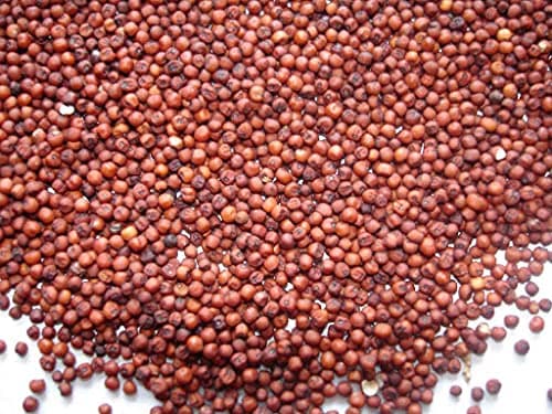 Bague Whole Ragi Seed Finger Millet Fresh Stock 1kg 1000 Grams