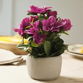 PURE HOME + LIVING Pink Artificial Azalea in Cement Pot Home Décor Items for Living Room Balcony Office, Diwali Decoration Items for Home, Diwali Gifts (Pack of 1)