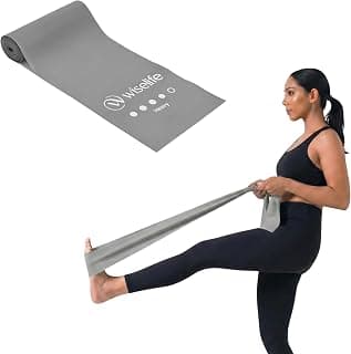 Wiselife Professional Latex Resistance Thera Band (Heavy Resistance) | 48x4 inch | 100% Natural | for Warm-Up, Stretching, Cardio, Strength Training, Home Fitness, Exercise, Gym Workout & Yoga (Grey)