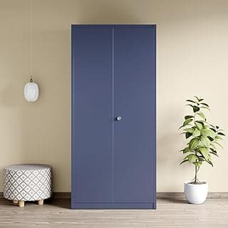 Interio by Godrej Errol 2-Door Steel Almirah (Textured Phiroja Blue), 1-Year Warranty, 1 Locker, 1 Drawer, 5 Shelves