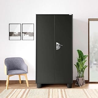 Interio by Godrej Storwel® M2 2-Door Steel Almirah (Graphite Grey) (1-Year Warranty, 1 Locker, 4 Shelves)
