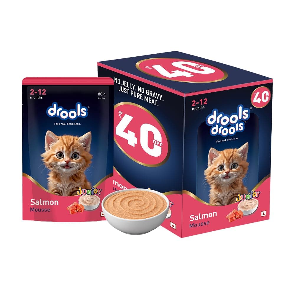 Drools Kitten Wet Mousse 80g Pack of 5, 400g | Salmon Flavour | Rich in Protein | Promotes Hydration & Easy to Digest | No Artificial Flavours | Packed with Essential Vitamins & Antioxidants