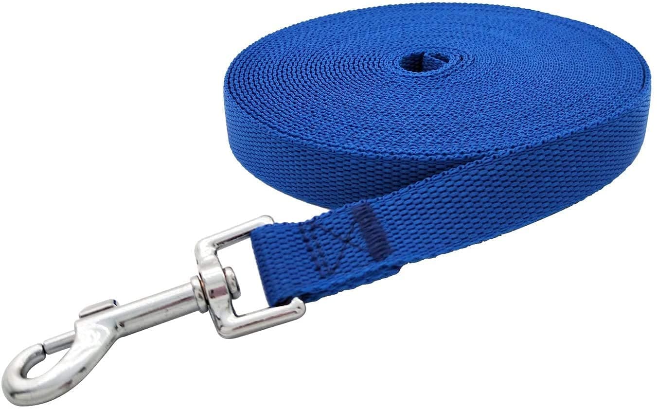 PSK PET MART Nylon Dog Training Lead Dog Leash 10 Ft Long Leash for Dogs (1 Inch Wide, Blue)