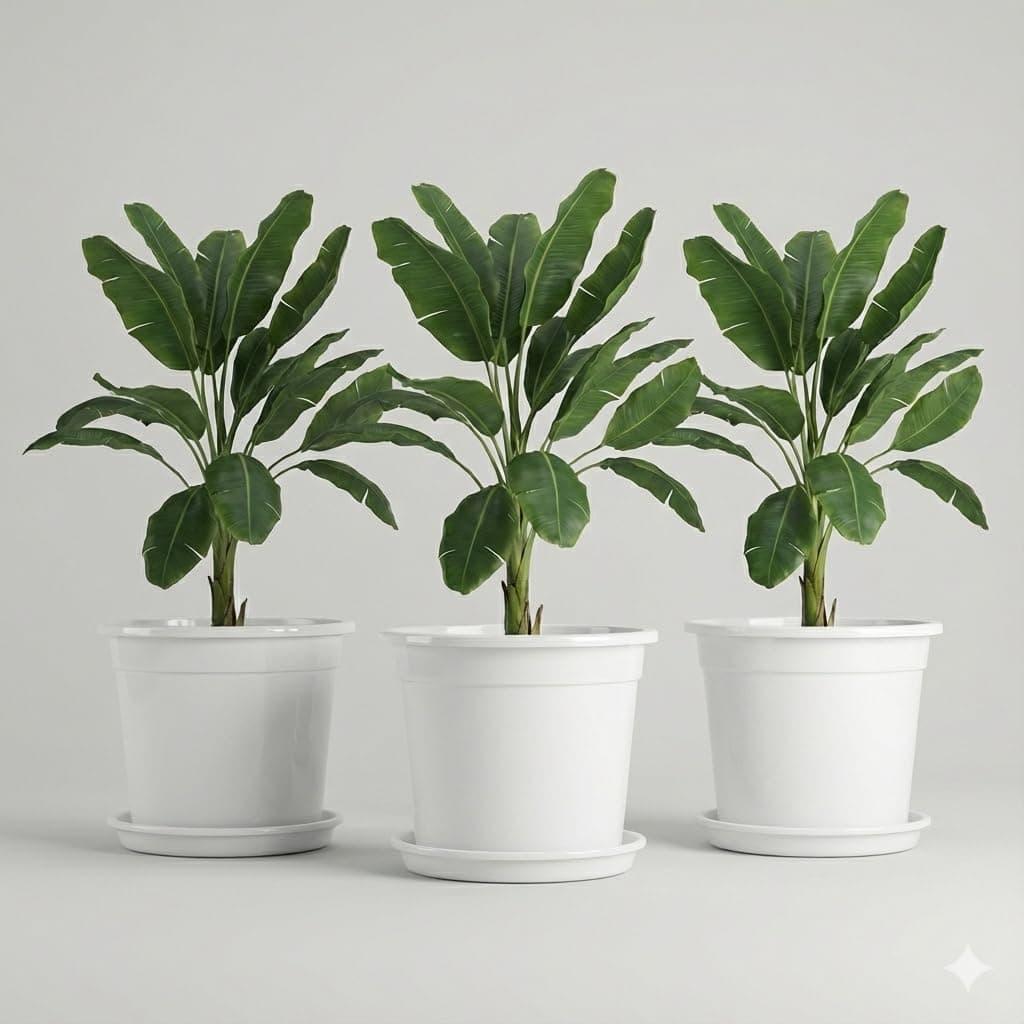 KORREL SEEDS 12 Inch Glossy White Plastic Planter with Bottom Plate | Heavy Duty Flower Pot with Tray for Indoor Home Decor, Balcony, Living Room & Outdoor Garden (3 Pot, White)