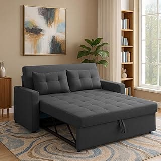 Casaliving Treshta 2 Seater Pull-Out Premium Fabric Sofa Cum Bed Sofa Set for Living Room (Black Fabric Color) Premium Fabric Sofa Set for Living Room Sofa Cum Bed