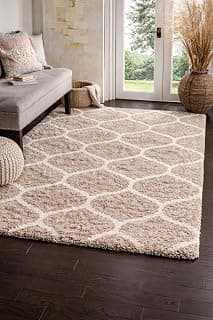 Polyester Fluffy Fur Rugs & Modern Shaggy Floor Carpets for Living Room,Sofa Area,Hall,Kids Room,Guest Room | Elegent Bedside Runners for Besdroom(3X6 Feet Beige Mandir)