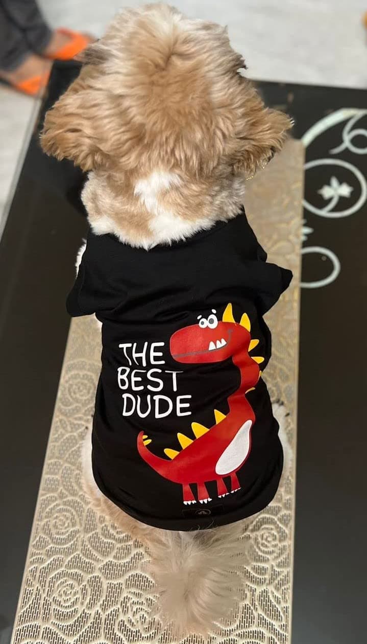 Golden Tails The Best Dude Tshirt for Dogs Aand Cats Black (Xs 12"), Pack of 1