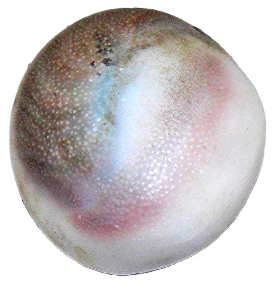 numeroastro Original & Natural Gomti Chakra Stone for Pujan (4 Cms Approx) (Big) (1 Pc)