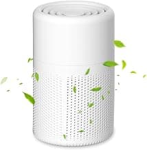 Portable Air Purifier with High Efficiency HEPA Filter, Silent 37dB for Bedroom, Living Room, Bathroom, Basement, Removes Dust, Pollen, Odors and Smoke