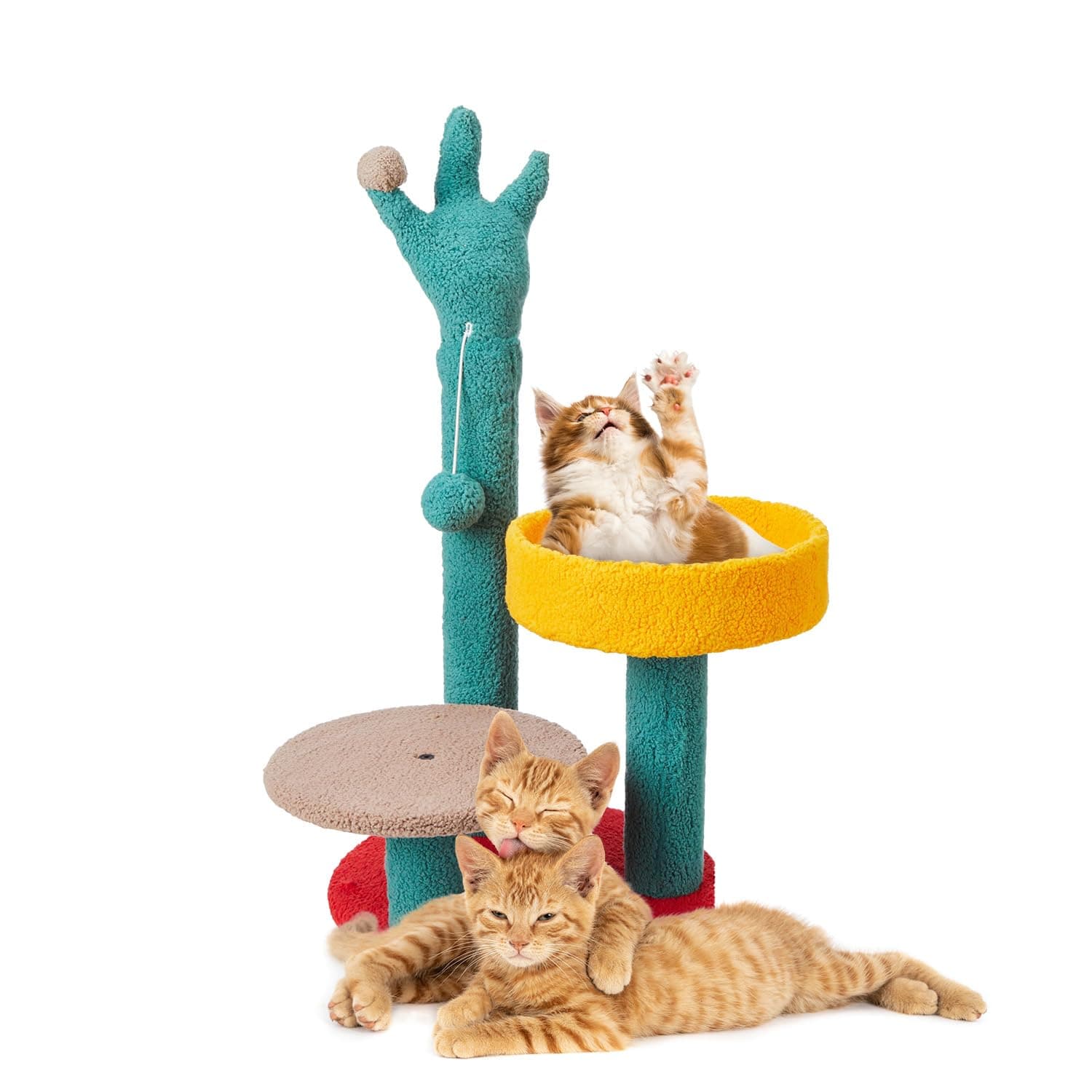 Amazon Basics Multi-Color Cactus Plant Cat Tree with Platform & Scratching Posts | Unique Design for Stylish Play | Cozy Living Spaces | Durable Construction | Interactive Play Zones |55 x 39 x 80 cm