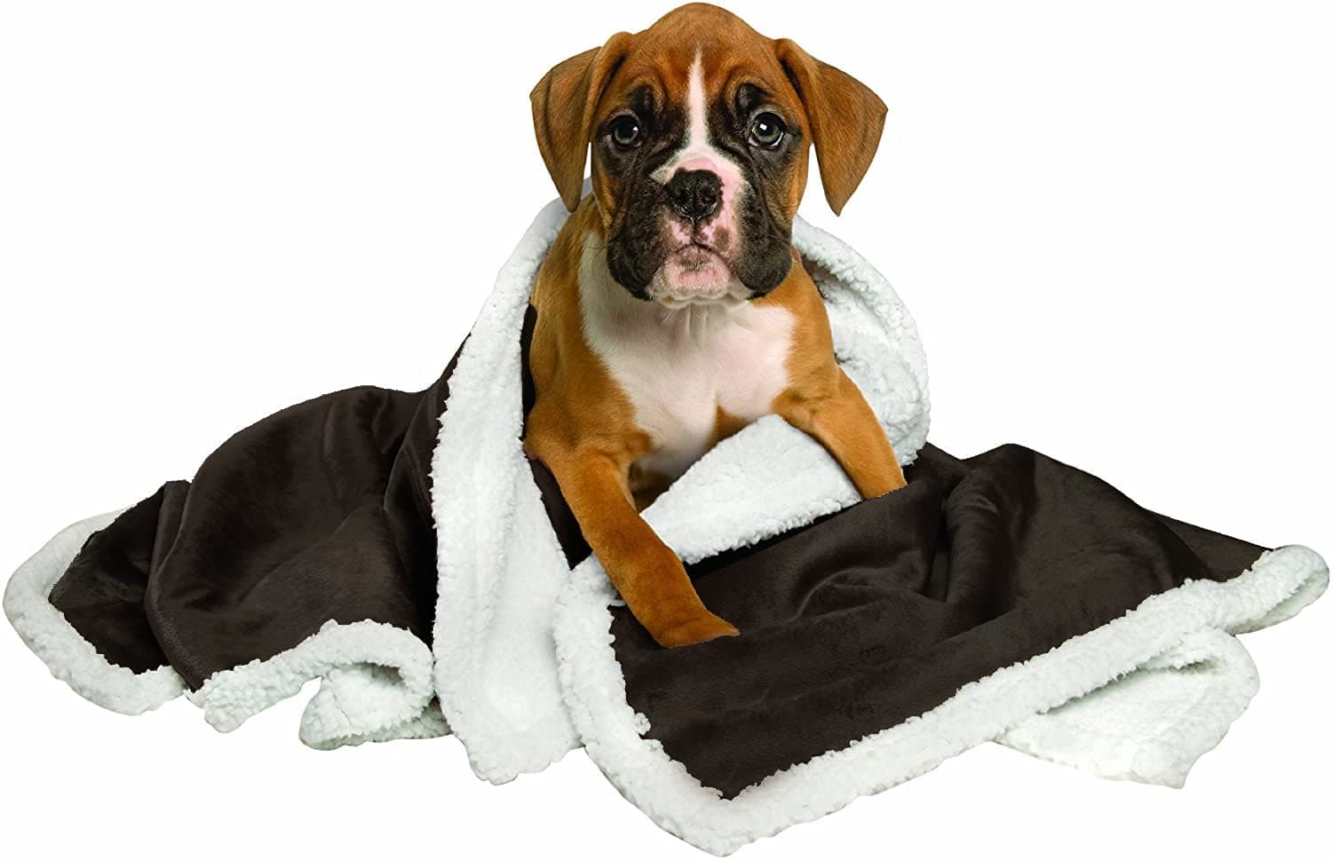 Fluffy's Luxurious Premium Dog/Cat Blanket, Soft and Warm Pet Throw for Dogs & Cats (Black) (Black, 45'' X 55" (Large))