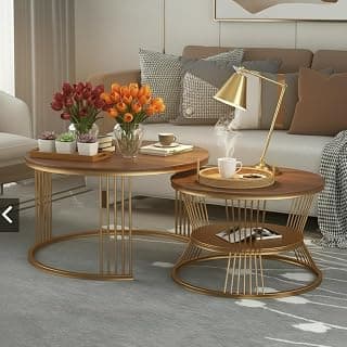 Modern Nesting Table Set of 2 – Round Coffee Table with Engineered Wood Top & Metal Frame, Side Tables for Living Room, Bedroom & Lounge (Gold & Brown, L-51x48 cm, S-41x41 cm)