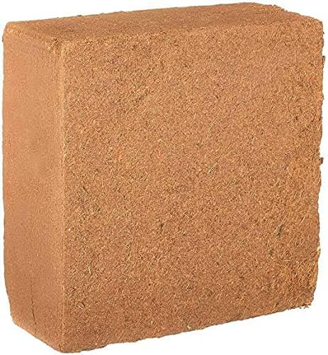 BHAGIRATH Cocopeat Block 650 Grams | Block Expand Upto 10 liters of Coco Peat Powder for All Seeds and Plants