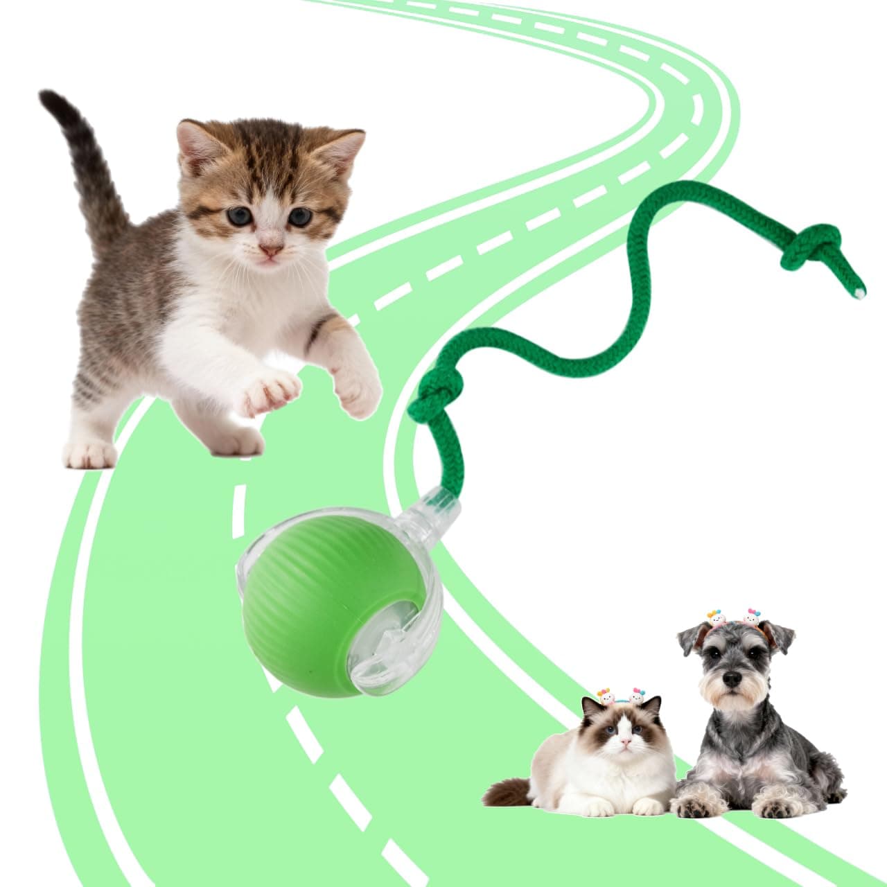 KumCinm Interactive Cat Toys Ball, Motion Activate Electric Cat Toy, Automatic Pet Exercise Toys,Green