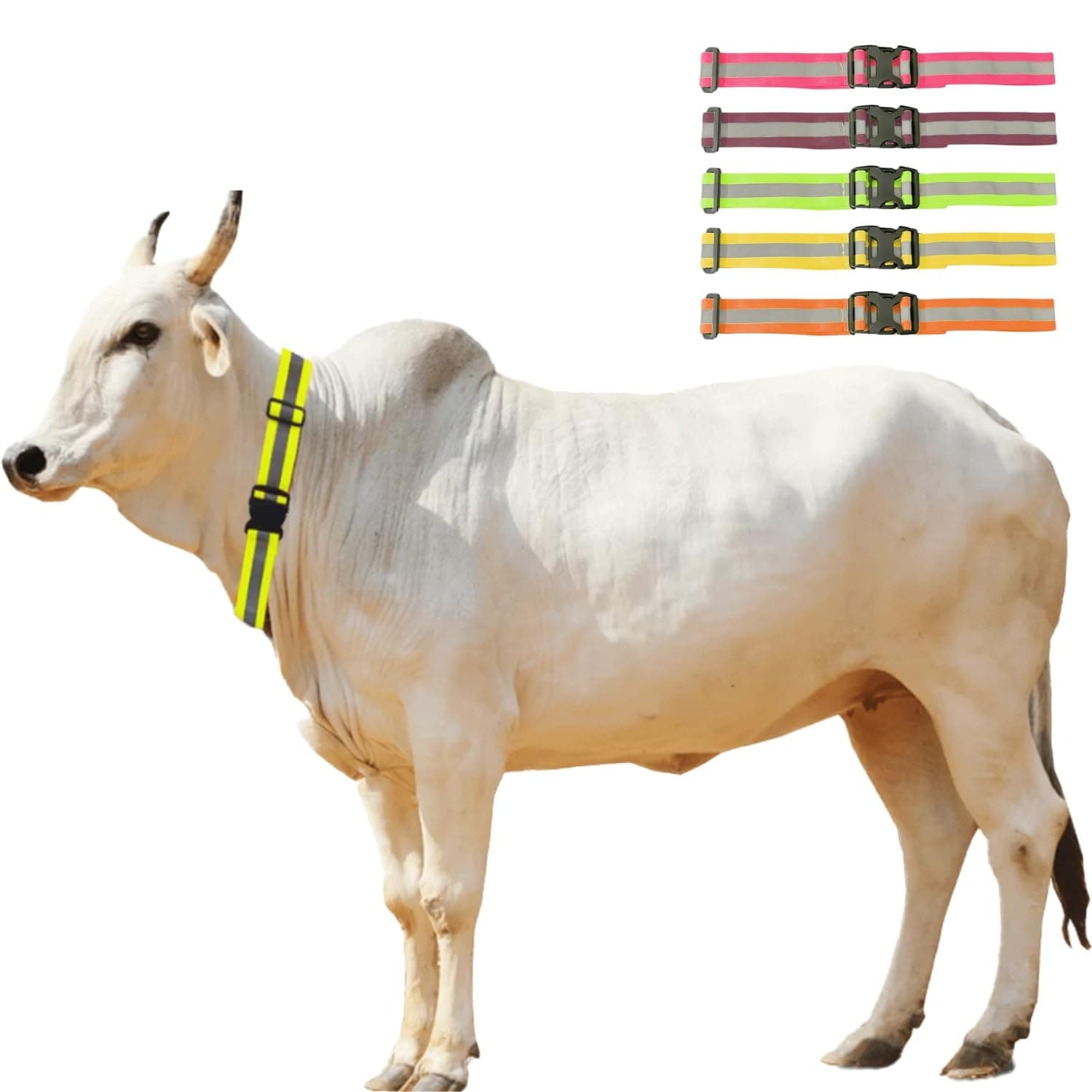 Payton Perry Cow Radium/Reflective Collar for Stray Cows, Quick Release Buckle, Adjustable Size (Mix Colors, Pack of 5)