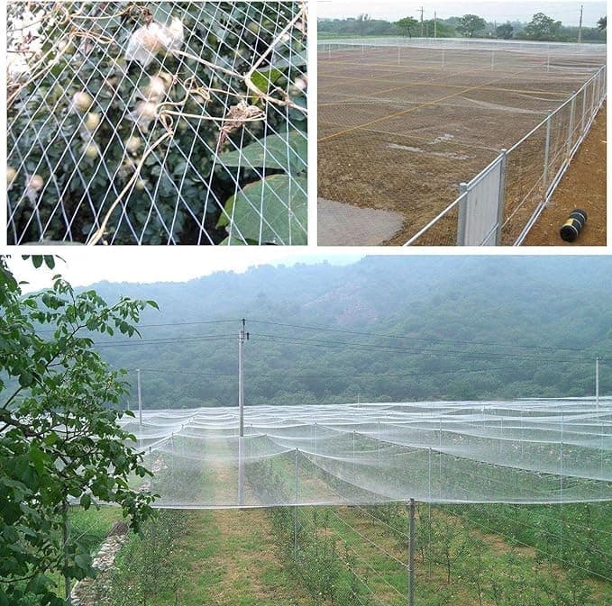 RK Trends Bird Netting | Heavy-Duty Anti-Bird Protection for Garden, Fruit Trees, and Vegetables | Durable White 10 x 30Ft