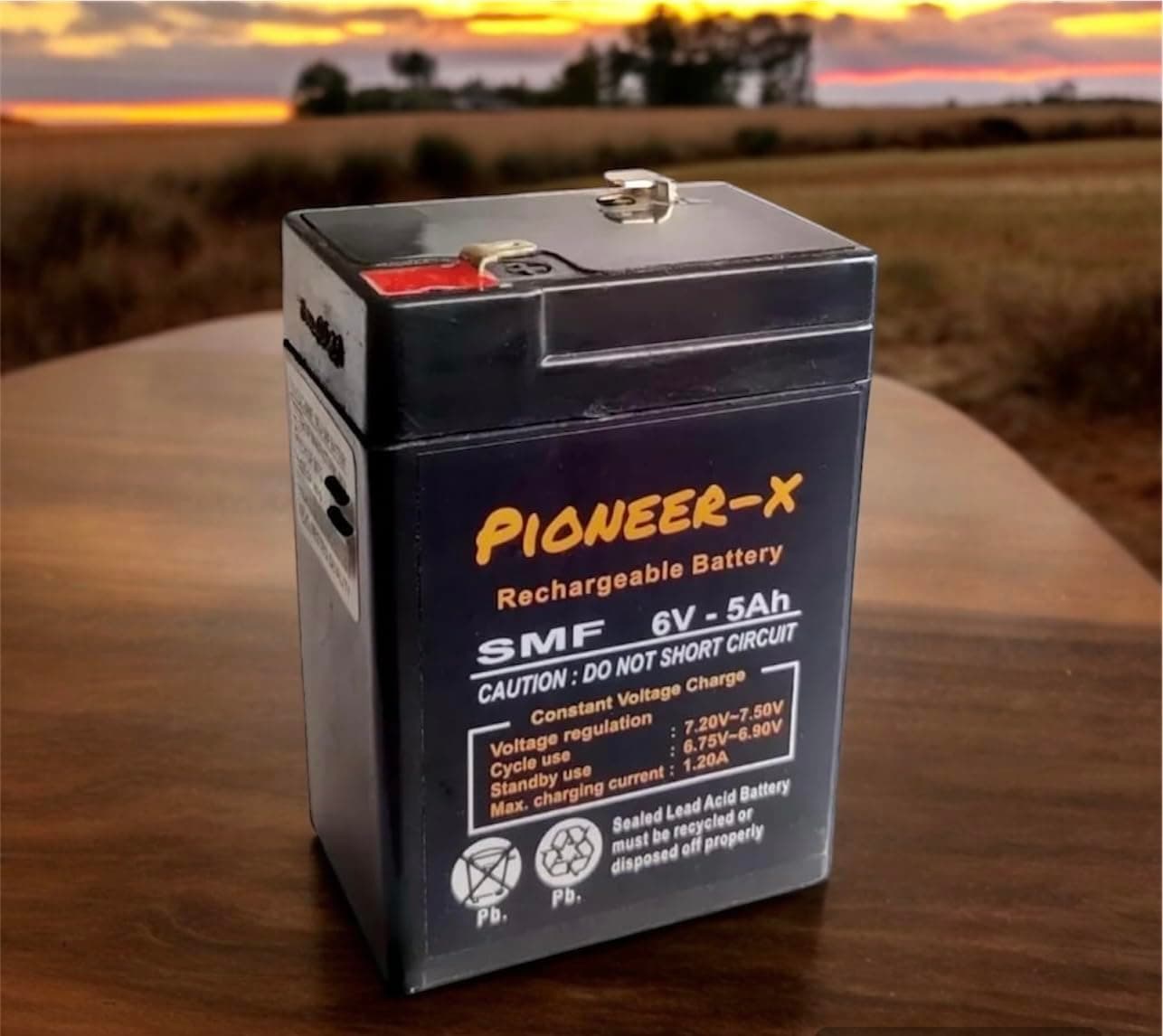 6 Volt 5 Ampere Rechargeable AGM-SMF Battery for Toy Cars, Weighing Machine