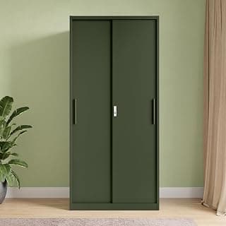 Interio by Godrej Slide N Stack Sliding 2-Door Steel Almirah | Matte Tree Mist, 1-Year Warranty, 1 Locker, 4 Shelves