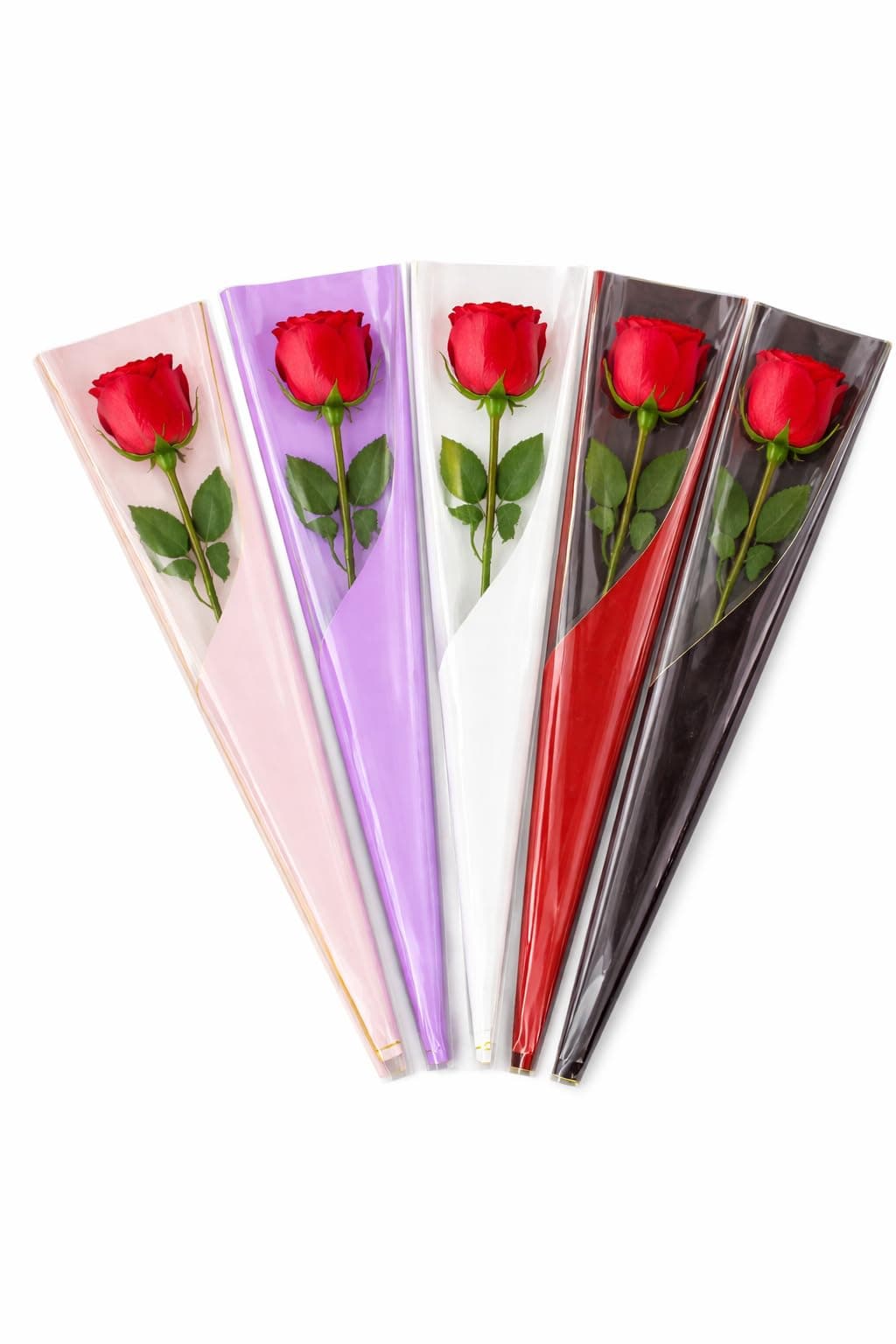EZYPAC Single Rose Sleeves Flower Wrapping Bags | Clear Cellophane Floral Wrappers | Bouquet Packaging for Valentine, Wedding & Special Occasions | Pack of 10