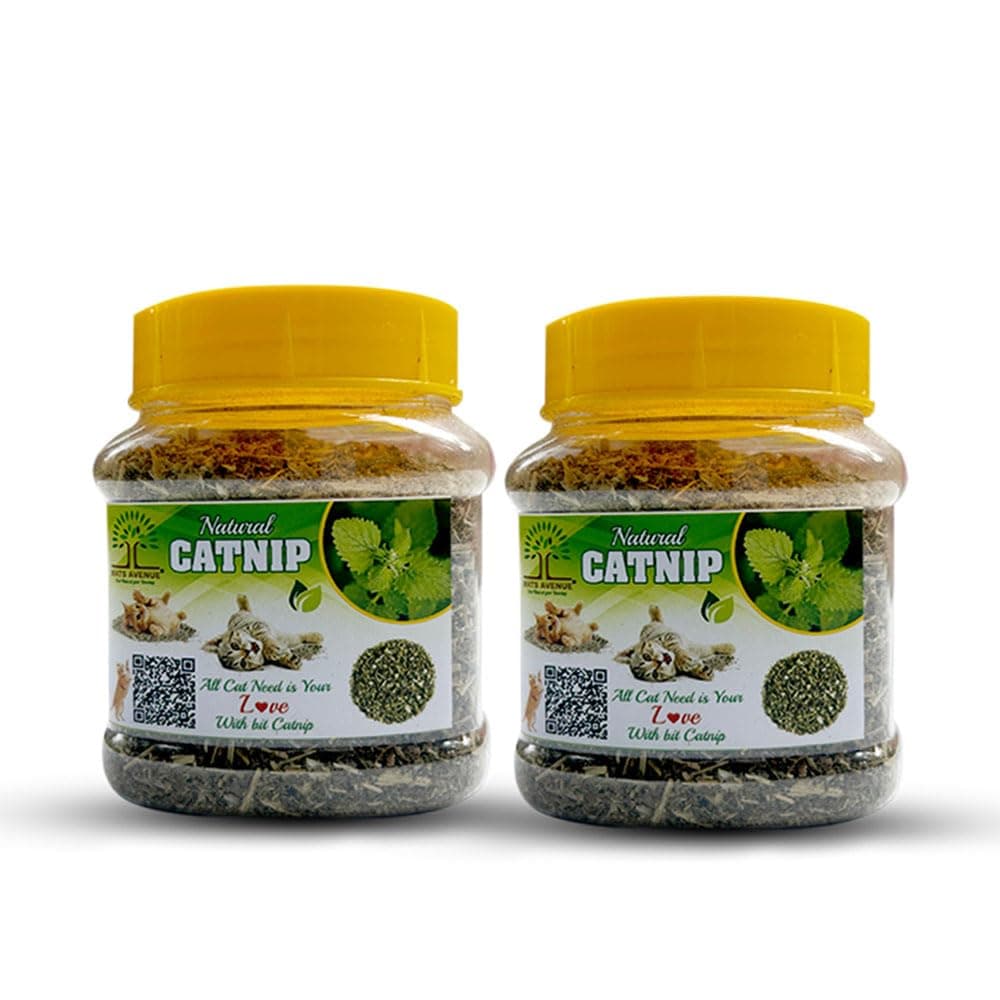 Mats Avenue Pure Original Dried Catnip Himalayan Variety Attractive Mint Fragrance Catnip for Cats Kittens and Persian Cats Jumbo Pack of 200 Ml (Pack of 2)