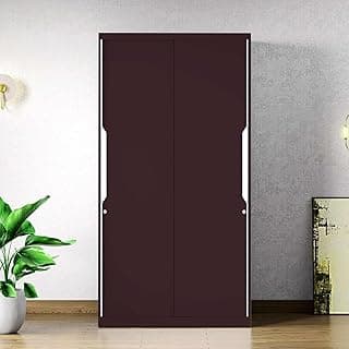 Interio by Godrej Almirah Slide N Store Compact 2-Door Steel Sliding Wardrobe for Clothes (Textured Shell Wine Red), 1-Year Warranty, 5 Shelves, 1 Drawer