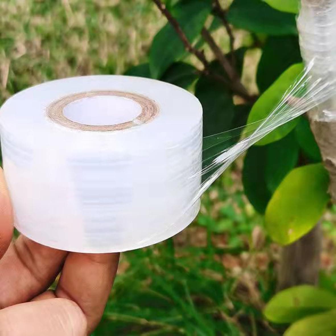 GreenHut Grafting Tape for Plants, 2 inch x 100 meter, Stretchable Self Adhesive Grafting Tapes for All Plants, Suitable for All Weather Condition (Pack of 1)