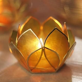 PURE HOME + LIVING Amber & Green Ombre 12 Petals Tealight Holder Decorations Items for Home, Decor for Living Room, Bedroom and Dining Table