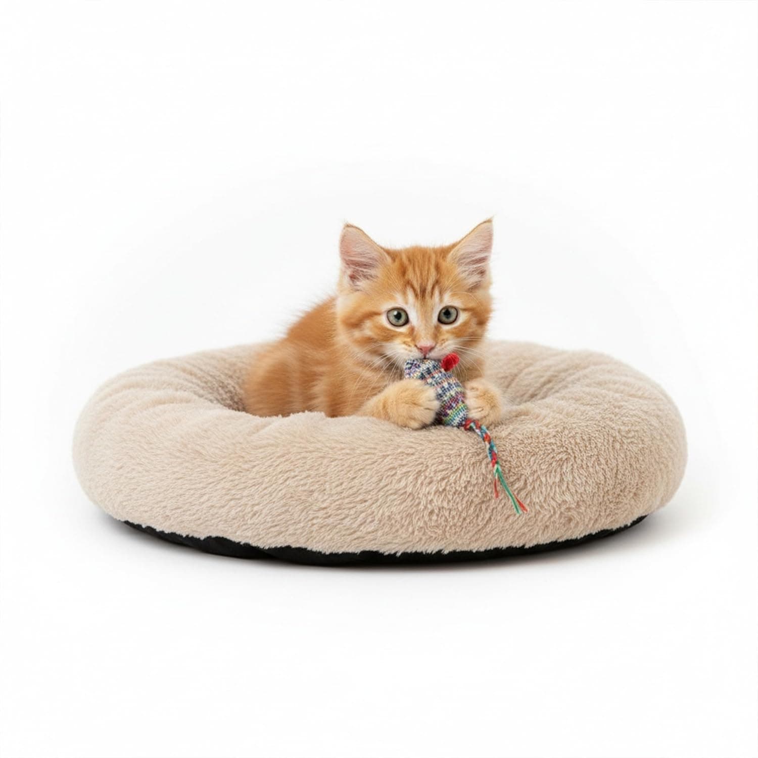 Amazon Basics Faux Fur Donut Pet Bed |Small (50 x 50 x 12 cm) | Color -Beige | Reversible, Washable, Cozy Mat for Cats & Dogs